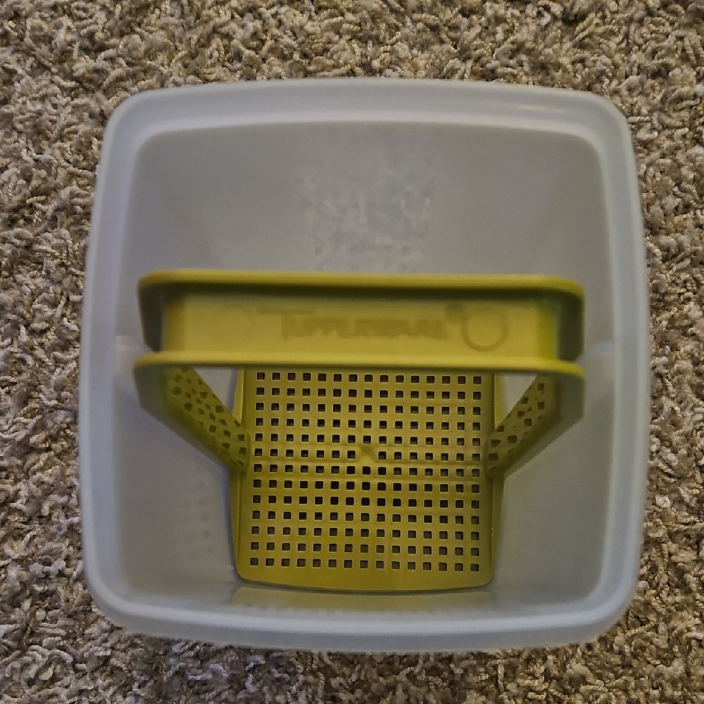 Tupperware Pickle Storage Container - Picture 3 of 4